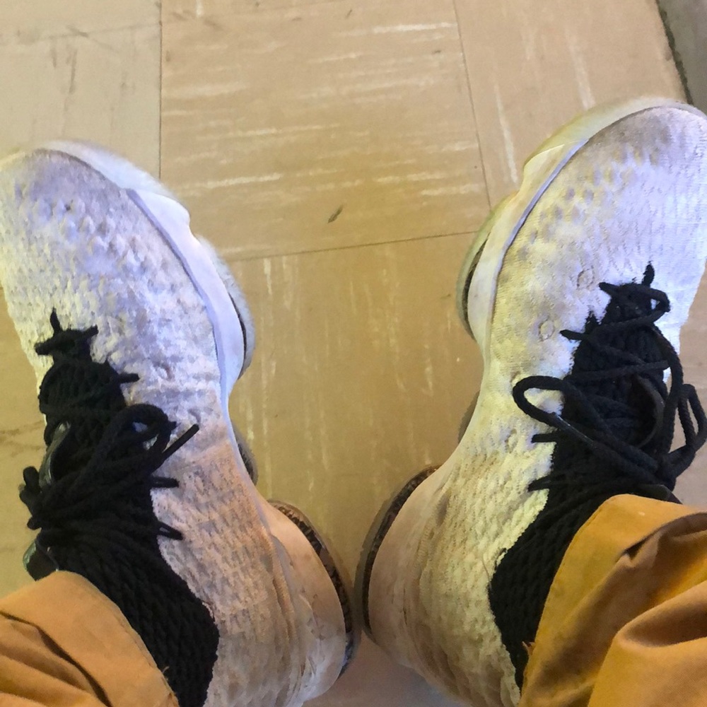 LeBron 15